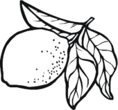 Disegni di Limoni da colorare