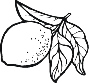 Disegno di limone da stampare e colorare 2