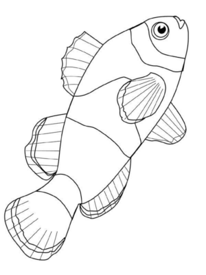 Disegno di pesce da stampare e colorare 267