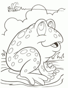 Disegno di rana da stampare e colorare 45