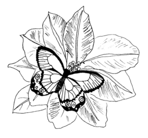 Disegno di farfalla da stampare e colorare 132