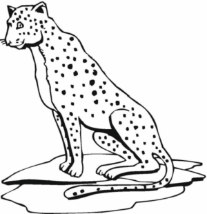 Disegno di leopardo da stampare e colorare 57