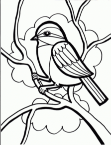 Disegno di passero da stampare e colorare 98