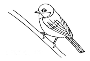 Disegno di uccello da stampare e colorare 17