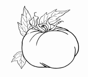 Disegno di zucca da stampare e colorare 42