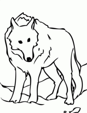 Disegno di lupo da stampare e colorare 56