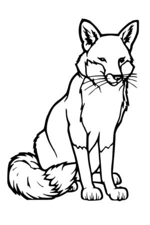 Disegno di volpe da stampare e colorare 60
