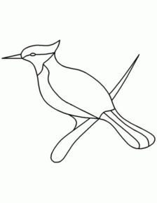 Disegno di uccello da stampare e colorare 85