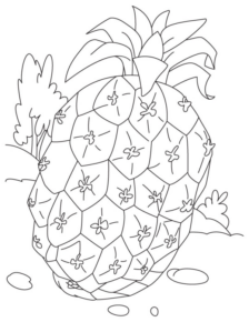 Disegno di ananas da stampare e colorare 11