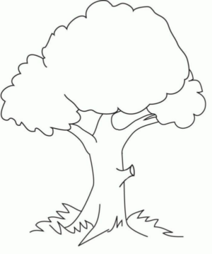 Disegno di albero da stampare e colorare 139