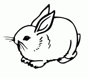 Disegno di coniglio da stampare e colorare 94
