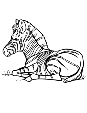 Disegno di zebra da stampare e colorare 11