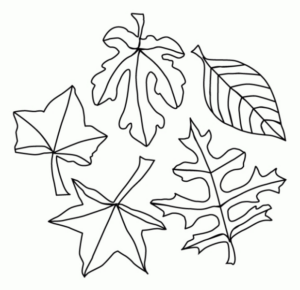 Disegno di foglia da stampare e colorare 76
