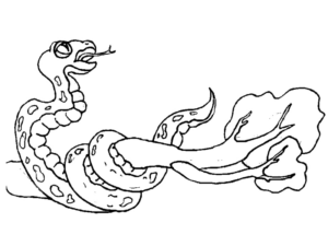 Disegno di serpente da stampare e colorare 17