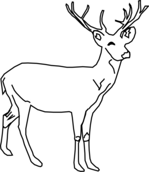 Disegno di cervo da stampare e colorare 6