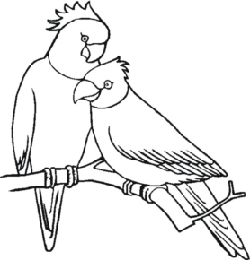 Disegno di pappagallo da stampare e colorare 43