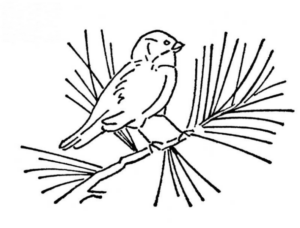 Disegno di uccello da stampare e colorare 43