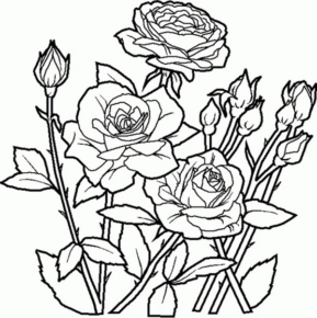 Disegno di fiore da stampare e colorare 115