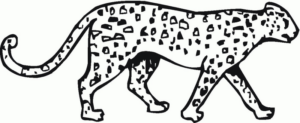 Disegno di leopardo da stampare e colorare 3
