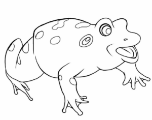 Disegno di rana da stampare e colorare 106