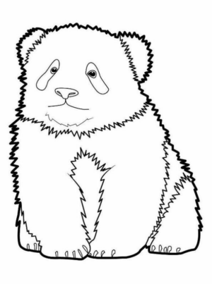 Disegno di panda da stampare e colorare 19