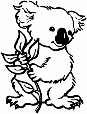 Disegno di koala da stampare e colorare 29