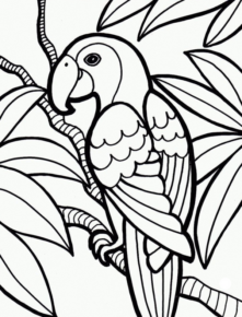 Disegno di pappagallo da stampare e colorare 40