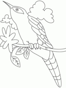 Disegno di passero da stampare e colorare 45
