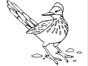 Disegno di passero da stampare e colorare 23