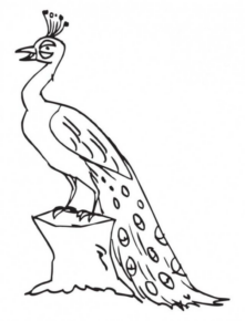 Disegno di pavone da stampare e colorare 4