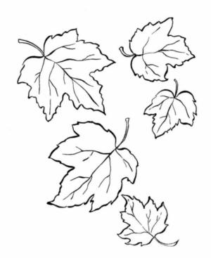 Disegno di foglia da stampare e colorare 14