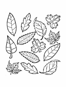 Disegno di foglia da stampare e colorare 11