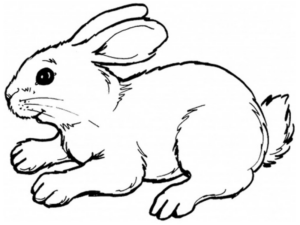Disegno di coniglio da stampare e colorare 203