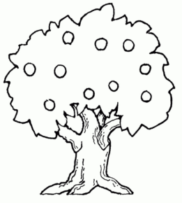 Disegno di albero da frutta da stampare e colorare 11