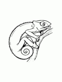 Disegno di camaleonte da stampare e colorare 7