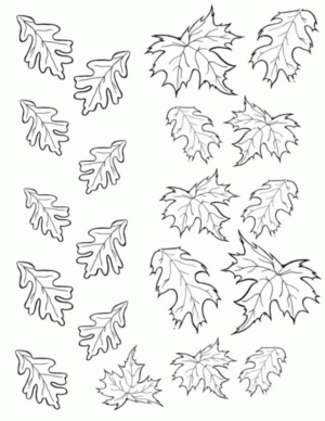 Disegno di foglia da stampare e colorare 83