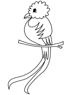 Disegno di pappagallo da stampare e colorare 9