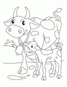 Disegno di mucca da stampare e colorare 114