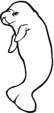 Disegno di foca da stampare e colorare 10