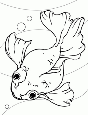 Disegno di pesce da stampare e colorare 20