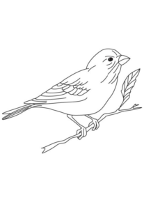 Disegno di uccello da stampare e colorare 121
