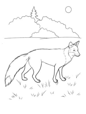 Disegno di volpe da stampare e colorare 69