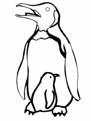 Disegno di pinguino da stampare e colorare 63
