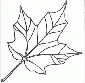 Disegno di foglia da stampare e colorare 21