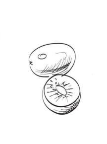 Disegno di kiwi da stampare e colorare 2