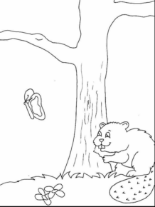 Disegno di castoro da stampare e colorare 13