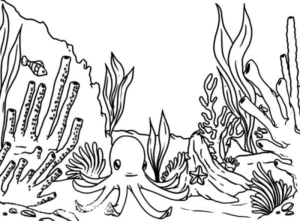 Disegno di polpo da stampare e colorare 37