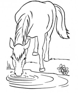 Disegno di cavallo da stampare e colorare 176