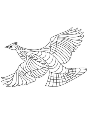 Disegno di uccello da stampare e colorare 78