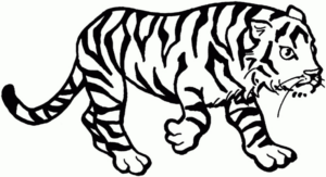 Disegno di tigre da stampare e colorare 29